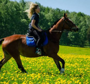 Alina, 33 лет, Екатеринбург, Россия