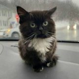 sasha, 19 лет, Токио, Япония