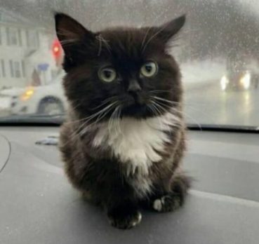 sasha, 19 лет, Токио, Япония