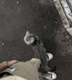 Дэвид, 24 лет, Мужчина, Алматы, Казахстан