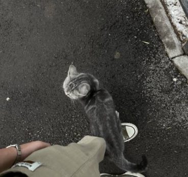 Дэвид, 24 лет, Алматы, Казахстан
