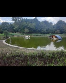 Ленка, 21 лет, Котовск, Украина
