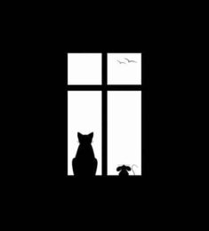 Анастасия, 41 лет, Женщина, Саратов, Россия