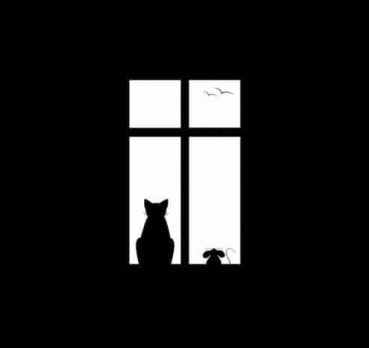 Анастасия, 41 лет, Саратов, Россия