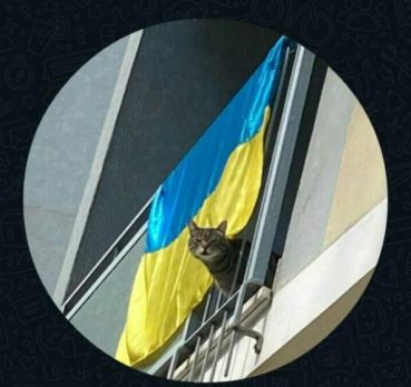 Лана, 25 лет, Львов, Украина
